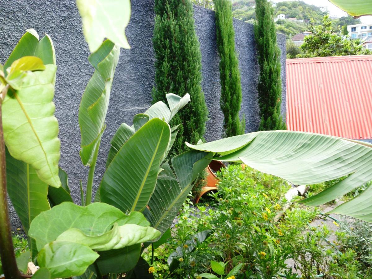 Villa Matilde E Joaquim Machico  Exteriér fotografie